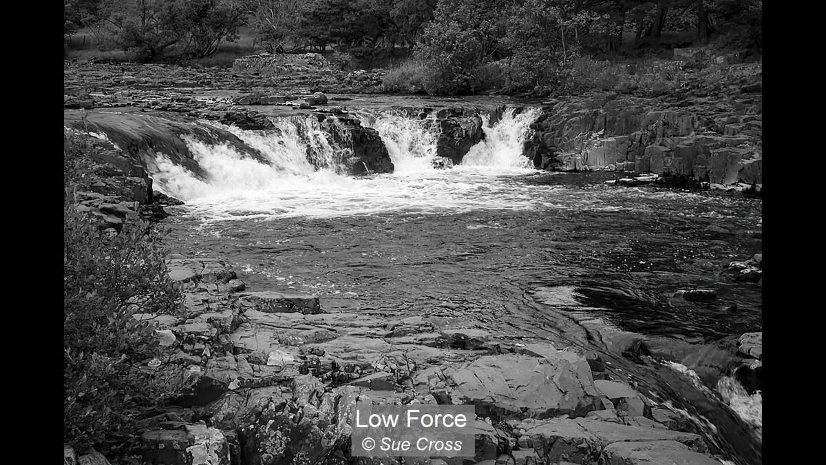 Low Force